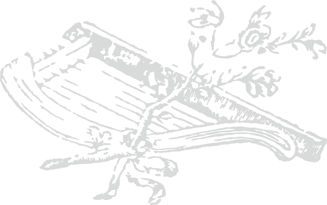  Music instrument gusli