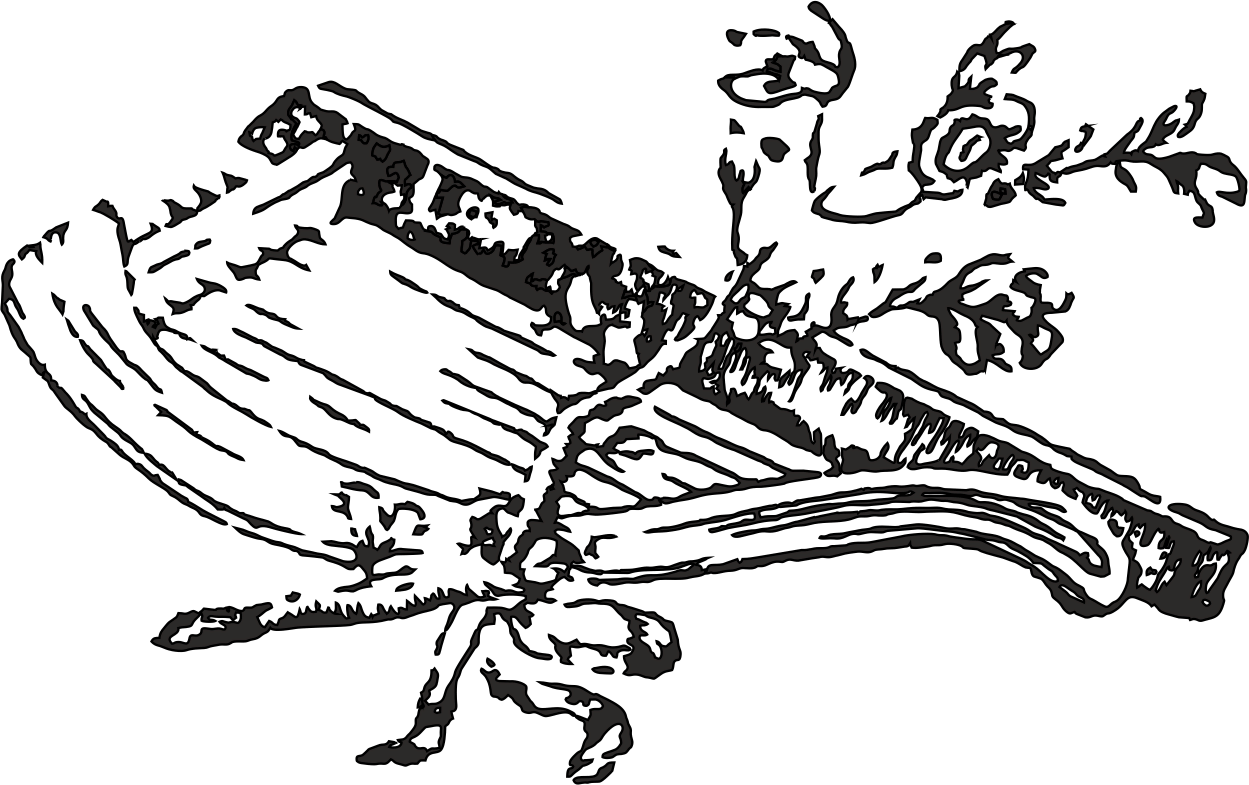  Music instrument gusli